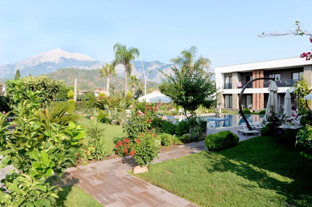 Mandalina Apartments Ağva Dış mekan fotoğraf