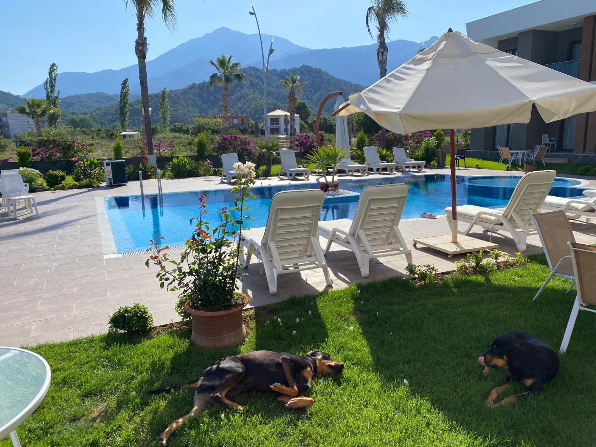 Mandalina Apartments Ağva Dış mekan fotoğraf